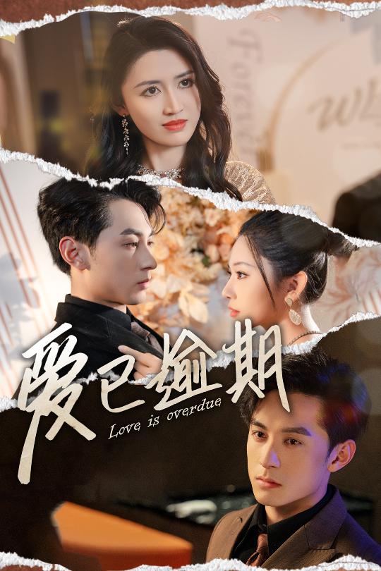 爱已逾期从此山海不相逢