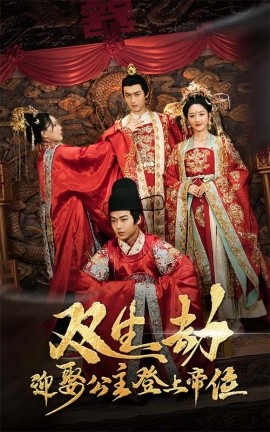 双生劫迎娶公主登上帝位公主虽丑但智勇双全双生劫迎娶公主登帝位