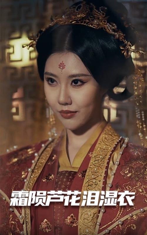 母剑照霜白霜陨芦花泪湿衣