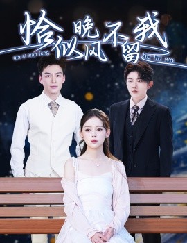 恰似晚风不留我弃他如风
