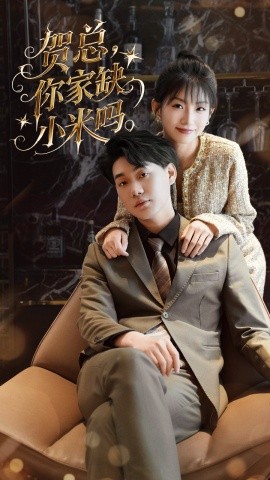 贺总你家缺小米吗