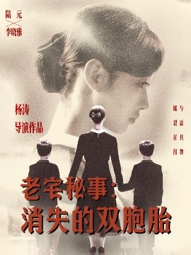 老宅秘事消失的双胞胎消失的孩子