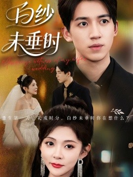 老婆婚礼我当证婚人白纱未垂时