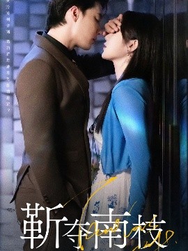 靳夺南枝甜欲肆吻