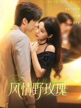 风情野玫瑰揉碎玫瑰