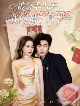 被分手当天我闪婚了真千金刚分手被美女姐姐拉去领证