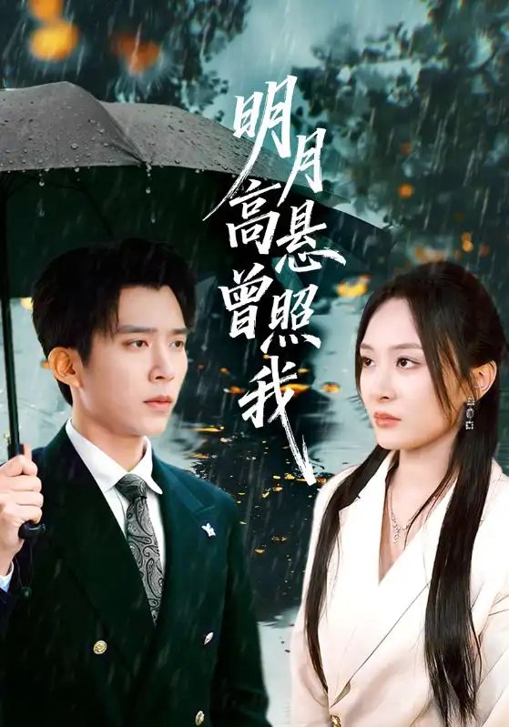 月高悬曾照我如果当时我说了爱