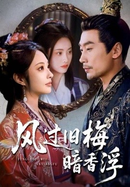 风过旧梅暗香浮枯梅待故人