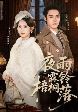 夜雨霖铃梧桐落烽火错爱