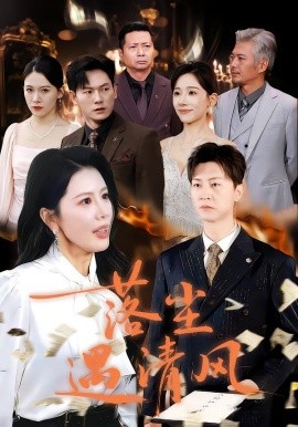 落尘遇清风离婚而已