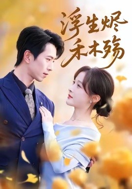 浮生烬禾木殇雾漫青衫沾白露