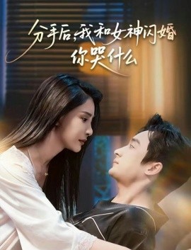 分手后，我和女神闪婚你哭什么悲欢离合总无情