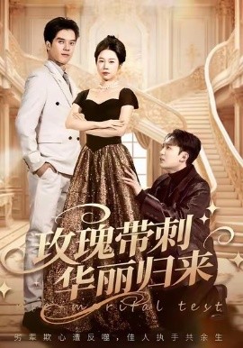 玫瑰带刺华丽归来婚前测试他不配