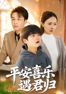 平安喜乐遇君归天才宝贝寻爹计
