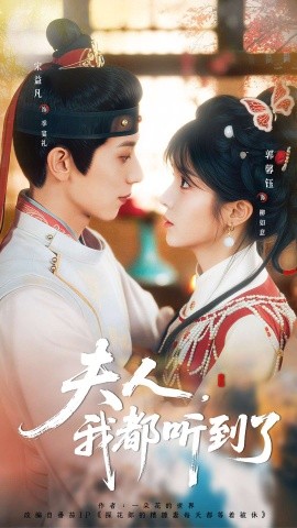 夫人，我都听到了夫人每天都想被休