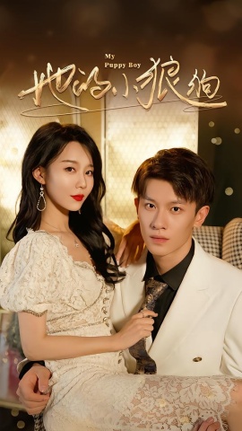 她的小狼狗灿烂的风