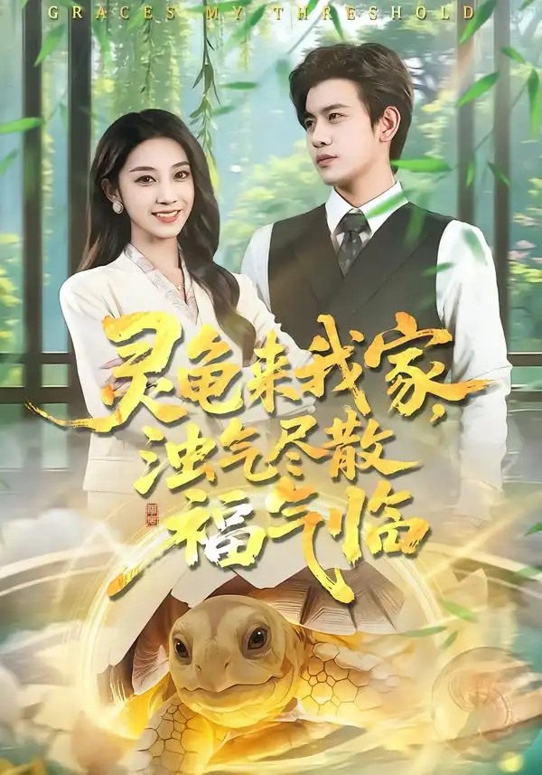 灵龟来我家，浊气尽散福气临