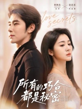 所有的巧合都是秘密陆总夫人她只想离婚