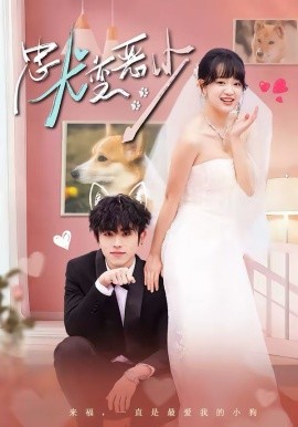 惊！我家来福变恶少了忠犬变恶少