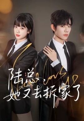 陆总，她又去拆家了