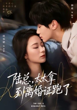陆总，太太拿到离婚证跑了