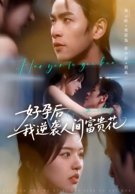 夜先生的小欢喜好孕后我逆袭人间富贵花