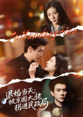 退婚当天：被京圈大佬拐进民政局