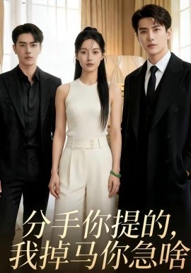 分手你提的，我掉马你急啥