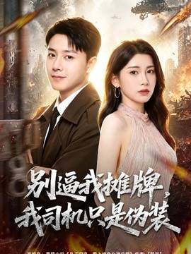 别逼我摊牌，我司机只是伪装