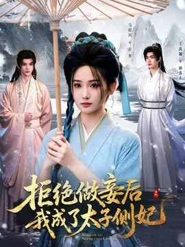 拒绝做妾后我成了太子侧妃一纸离人愁