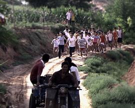 了不起的寒王妃