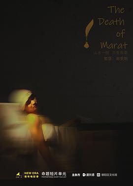 她才是总裁的白月光