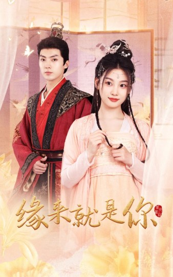 从此不负小相思