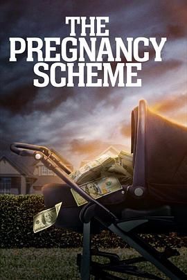ThePregnancyScheme
