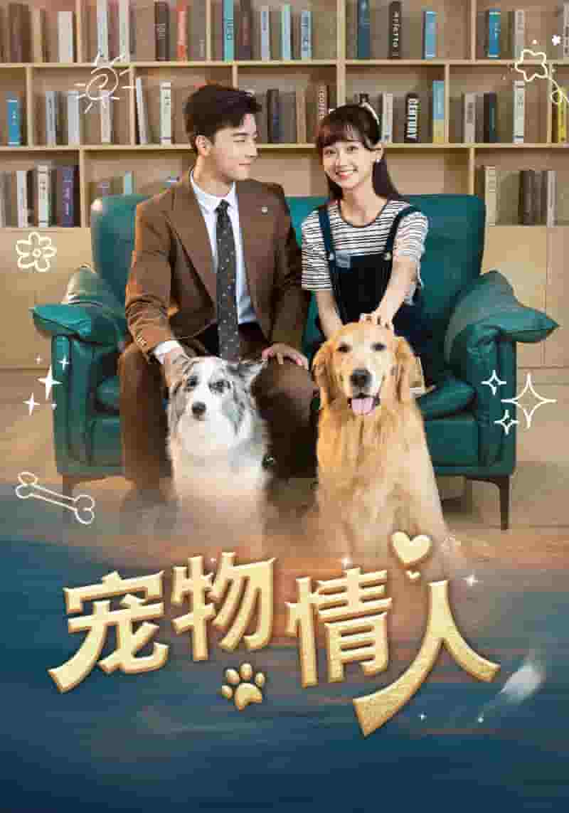 星空下的黑潮岛屿