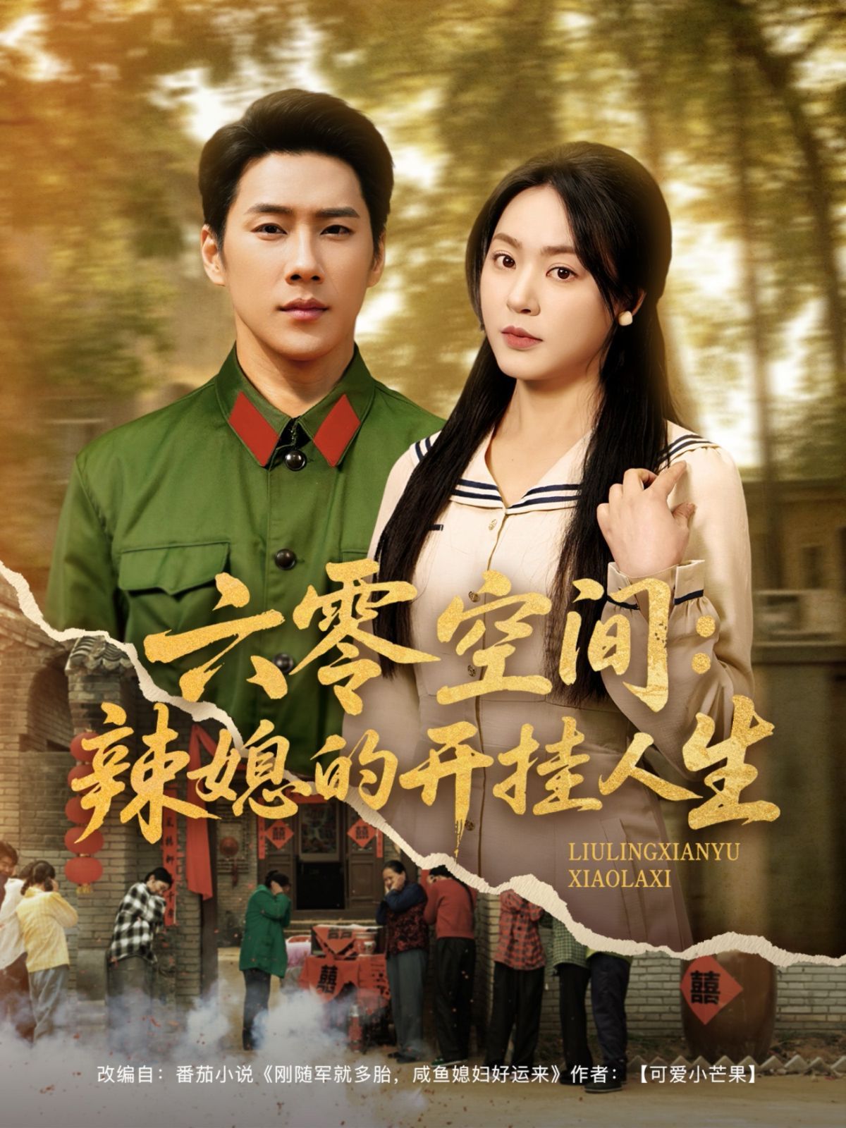 六零空间辣媳的开挂人生