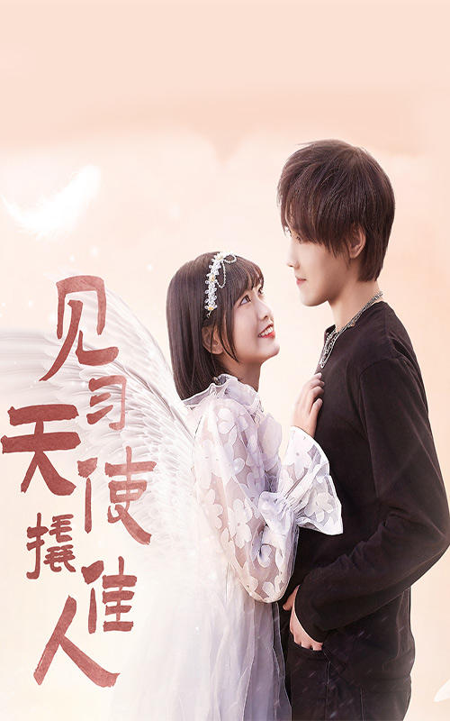 见习天使撬佳人