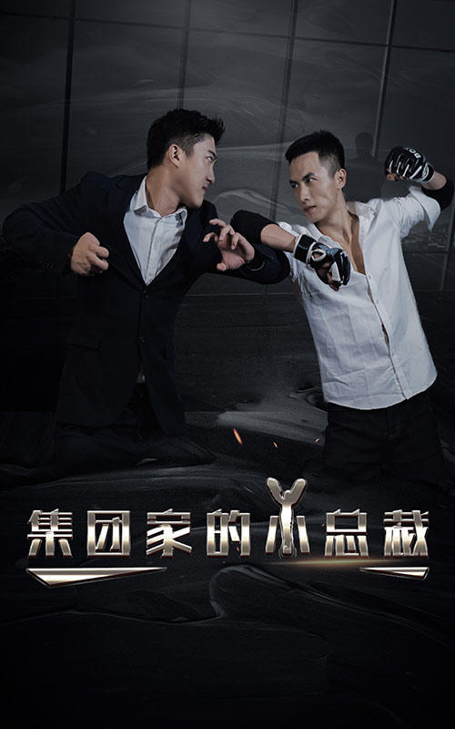 集团家的小总裁