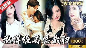 抱得绝美总裁归