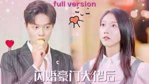 闪婚豪门大佬后